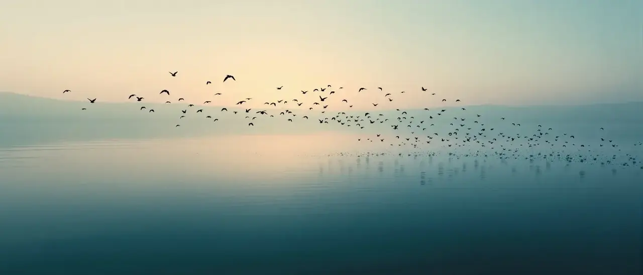 天空影视应用下载背景